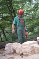 Click to see it big Ich mit Kettensäge, Impression aus dem Wald